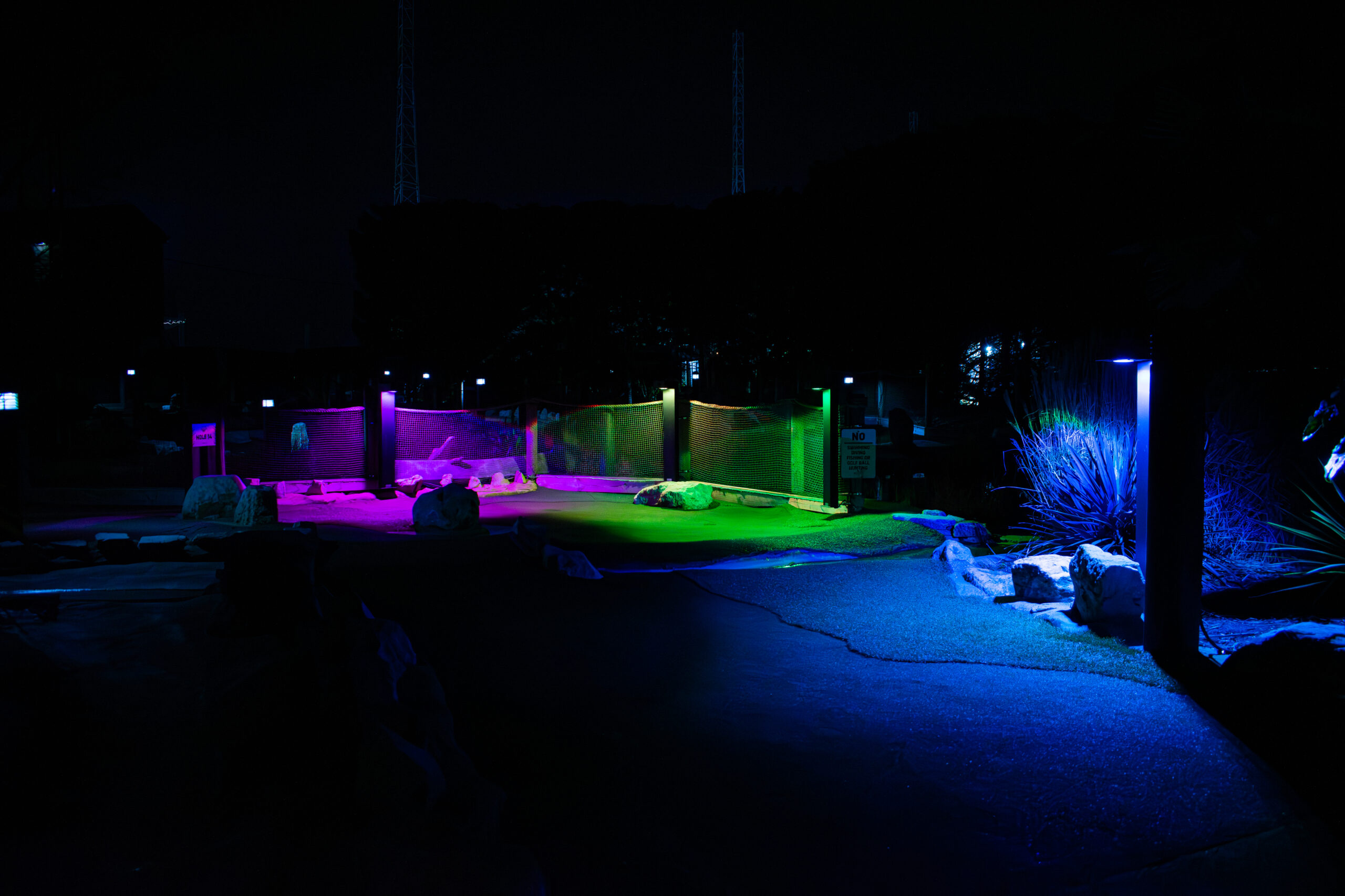 VividSense-1