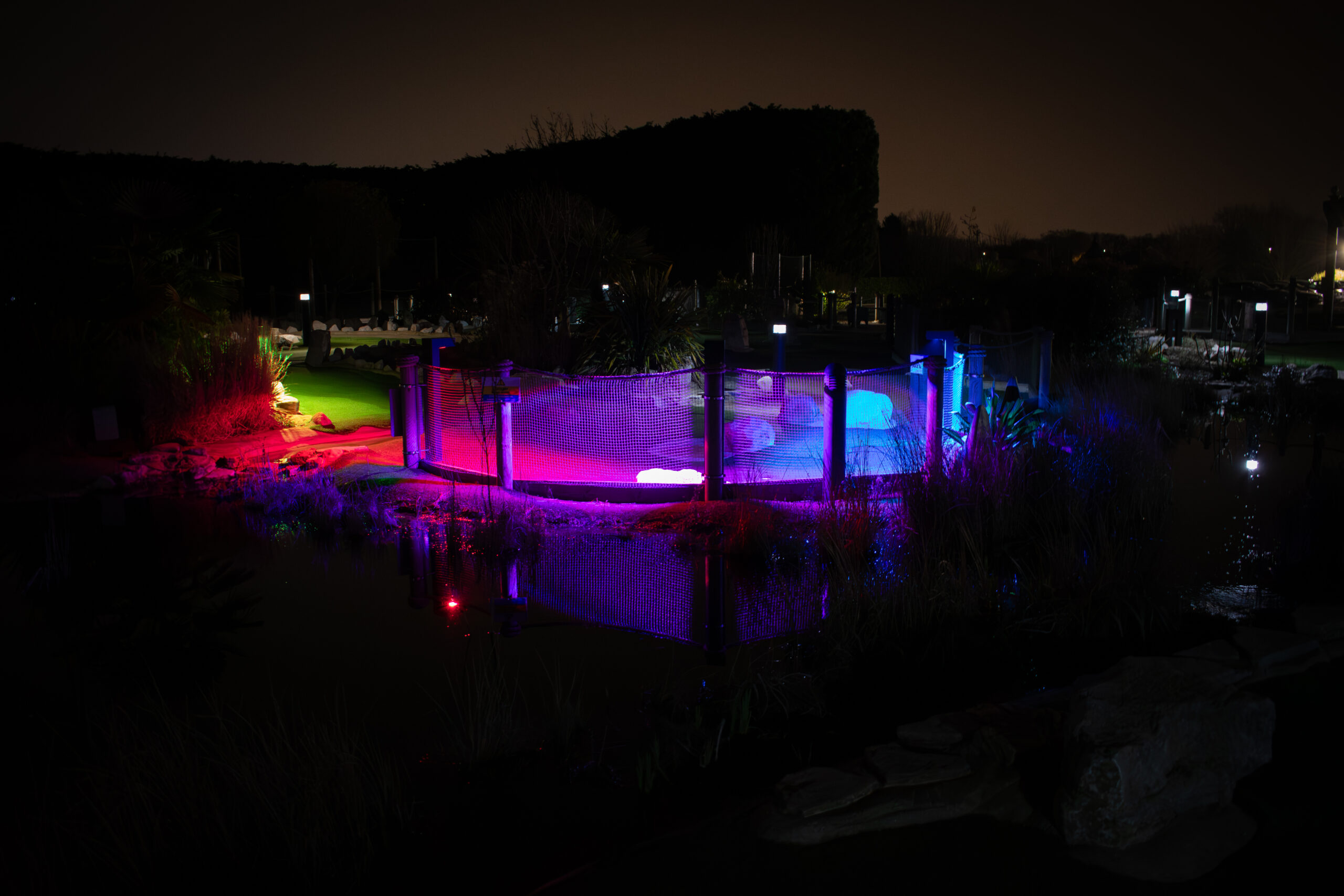 VividSense-2